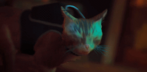 eab82f528247f98429b87b17e1ea9829e9881838.gifv