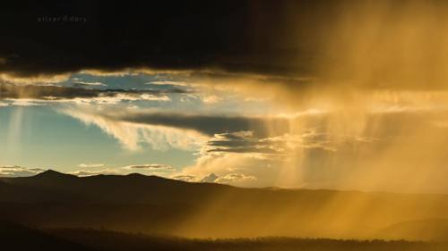 Sun shower in golden dusk light as rain drifts across the Brindabella Ranges &hellip; #canberra 