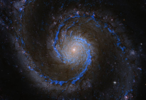 s-c-i-guy: Molecular clouds in the whirlpool galaxy appear to be embedded in fog A multi-year study 