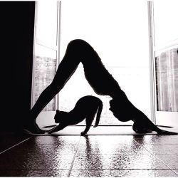 yogaparadise:  Downward dog