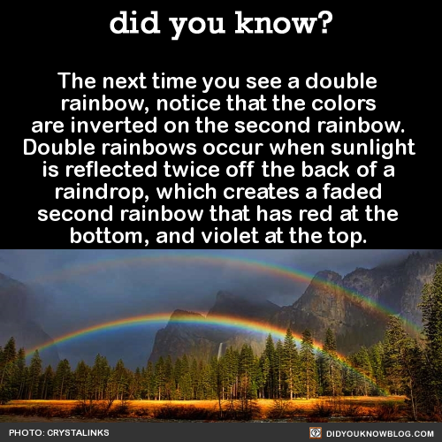 did-you-kno:  The next time you see a double rainbow, notice that the colors are inverted on the second rainbow. Double rainbows occur when sunlight is reflected twice off the back of a raindrop, which creates a faded second rainbow that has red at the