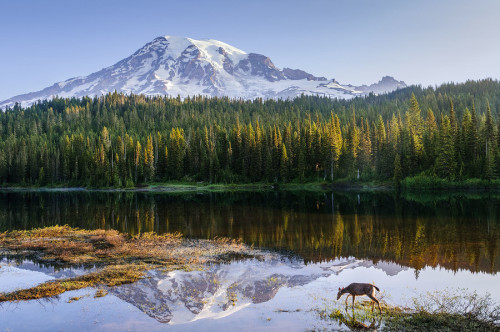 kevwil:  “Scene at Reflection Lake” by czhike84 (http://bit.ly/1epzU3X) 