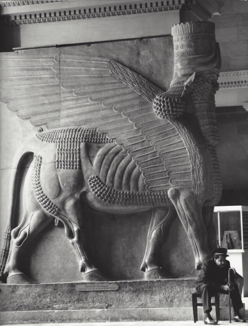 historyarchaeologyartefacts:Lamassu in Louvre Museum. Lammasu from Sargon II palace at Dur-Sharrukin