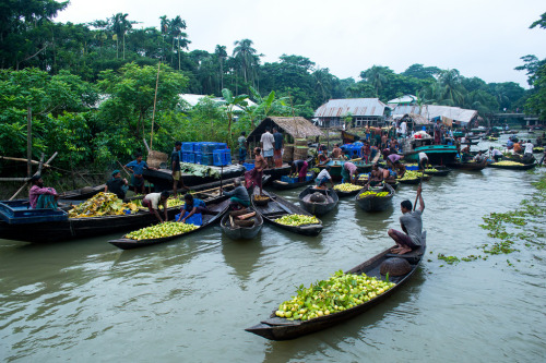 soon-monsoon: Floating Guava Market, Barisal Division, Bangladesh by Mamun Bilah