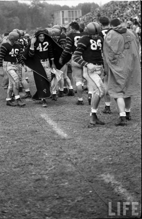 Princeton football game(Al Fenn. 1951)