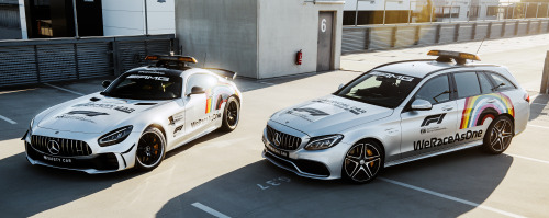 carsthatnevermadeitetc: Mercedes-AMG GT R Official FIA F1 Safety Car, 2020. The new