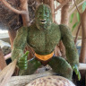 bchighlander: