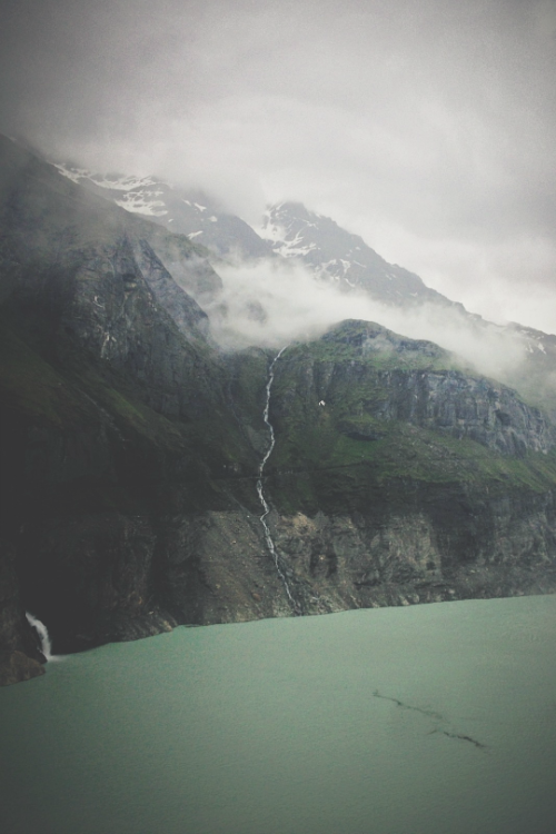 expressions-of-nature