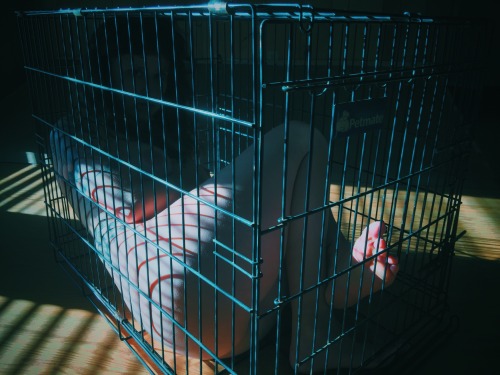 good-dog-girls:Bad Girls go in the kennel to think about what they have done. Perhaps with a time out