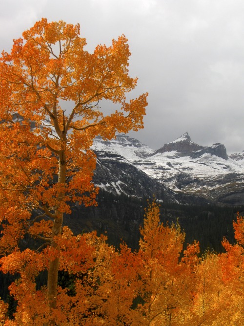 justemoinue2: The road to Clear Lake, Colorado