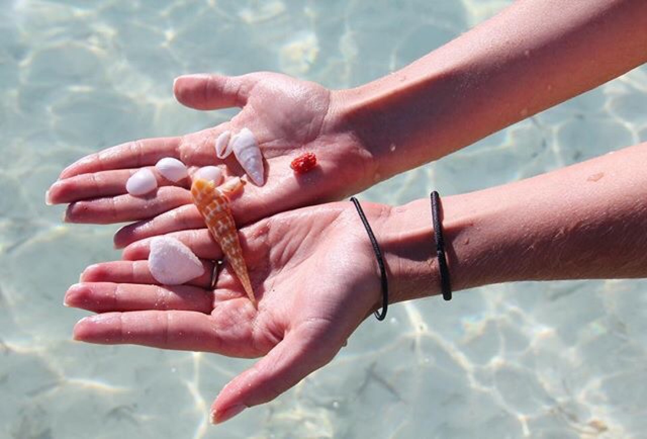 OCEAN OF LOVE