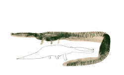elliotfreeman1:  crocodiles 