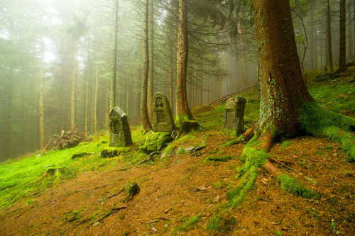 the-gasoline-station: Scarred by war: Battlefield landscapes from First World War 100 years on Sourc