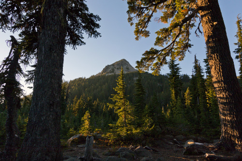 mikescofield:  Jefferson Park - Oregon This season I’ve been avoiding the popular hikes, favoring solitude over jaw dropping beauty, but Jefferson Park is one hike that I’ll make an exception for just because it’s so damn beautiful. It’s stupid