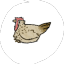 autisticanimations