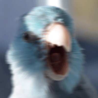 tumblr_inline_o0k9e4CyP41rrmjzm_400.gif