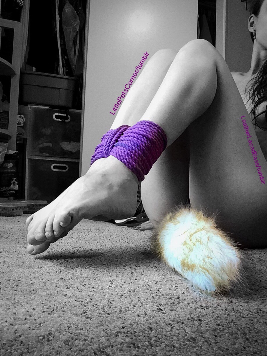 littlepetscorner: Cute captured kitten, Here at LittlePetsCorner! Rope from bdsmgeekshop