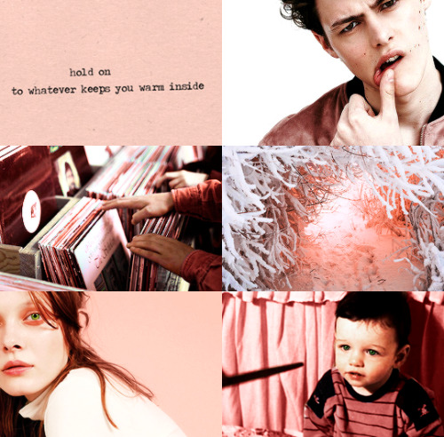 james and lily potter, died october 31, 1981, survived by their son harry