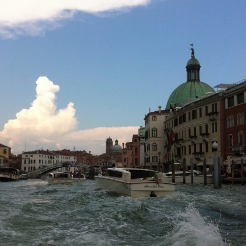 uglytoast:venice 2014