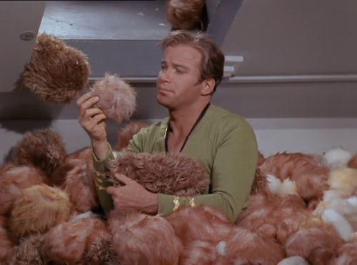 tribbles