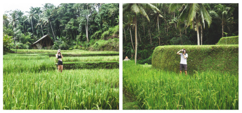 Indonesia, Sayan, Ubud 2 June 2017. “Green is the prime color of the world, and that from whic