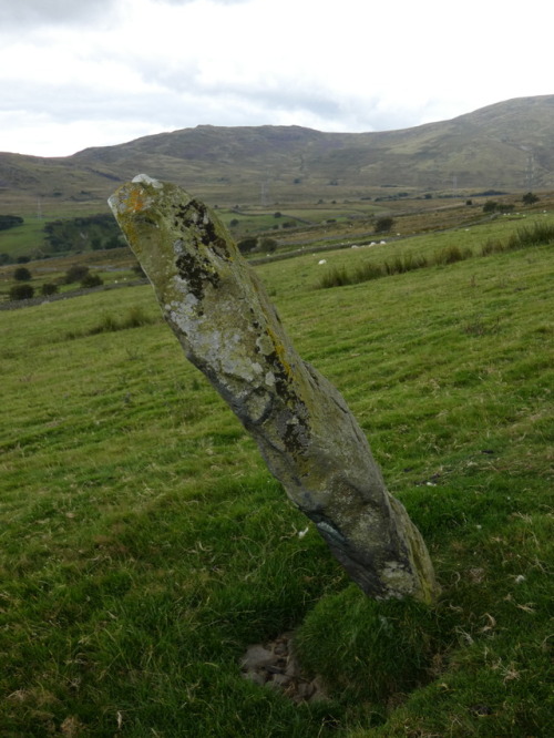 Ffon-y-Cawr ‘The Giant’s Staff’ Standing Stone, Conwy, 4.8.17. Legend has it that 