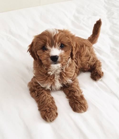Smol!!!