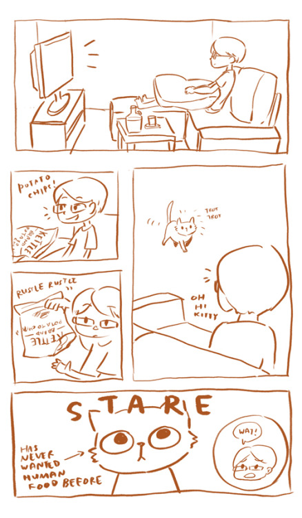 xinling:I made a silly comic about me and my cat.