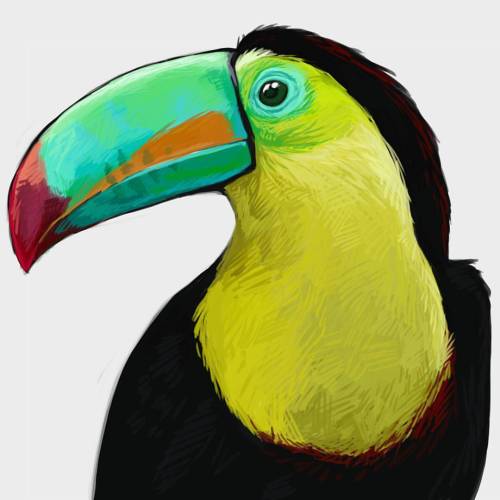 Another speedpaint (~1h) this time of a Keel-billed toucan. Producing art to burn your retinas latel