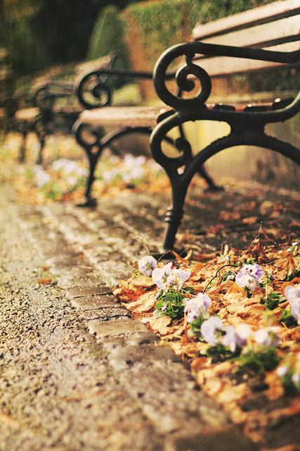 timefliestoday:  sem título by ►i.Anton on Flickr. 