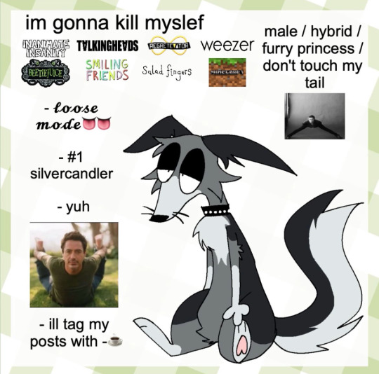 Tumblr media
