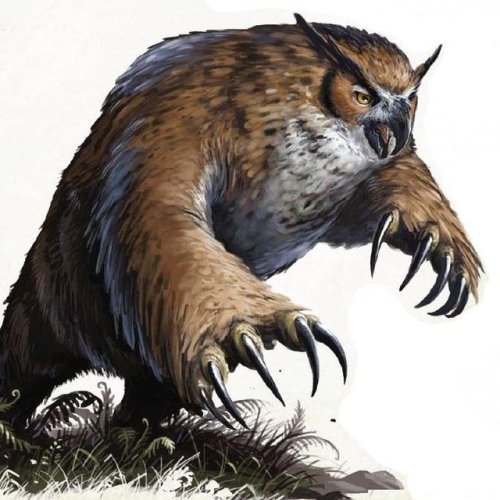 librum-prodigiosum:Owlbears are hybrid creatures from the Dungeons & Dragons roleplaying game. H