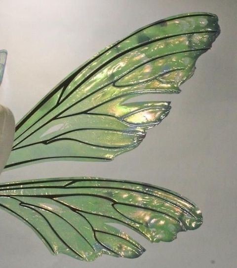 Green Aesthetics