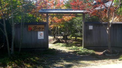 atelier-sento:Akiko Kaneko’s exhibition in NiigataMeeting Akiko Kanekowas for sure one of the 