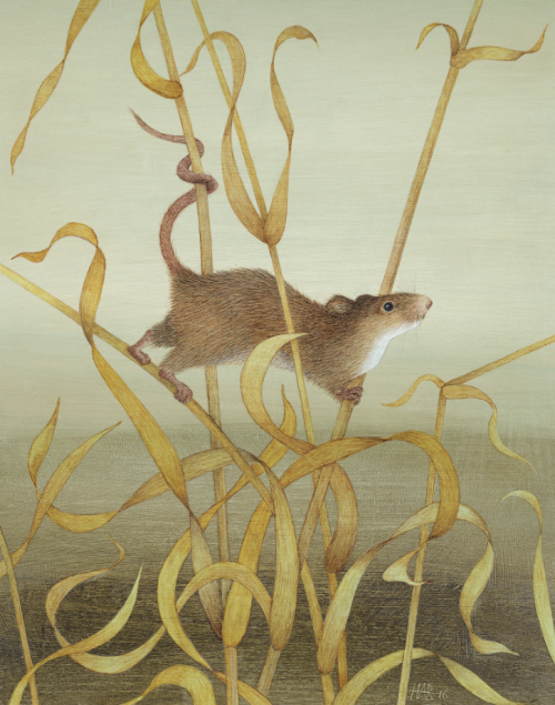 HARRIET BANE “HARVEST MOUSE” Watercolour and acrylic on gesso coated board.