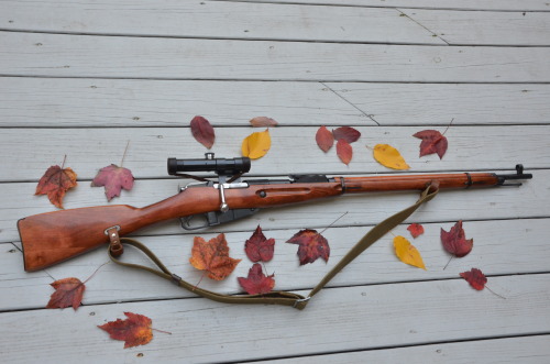 Mosin Nagant 91/30 PUOne of the most common World War II sniper rifles due to the large number of th