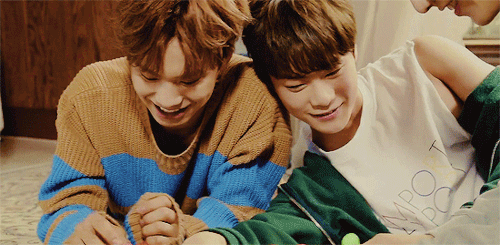 jinwooh:  rocky finding amusement in destroying other’s works