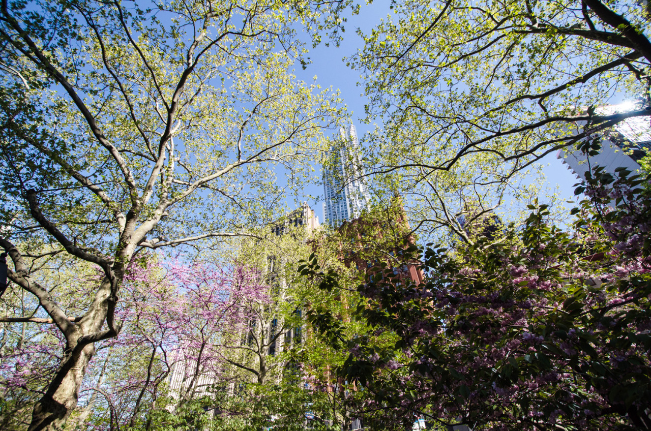 Spring Cleaning? Think Tenant KingAfter a long winter, Spring is ready to explode here in NYC. It’s a time when half the city takes up running, if only for a week or two, and residents are gleeful about eating outdoors in fifty degree weather at...