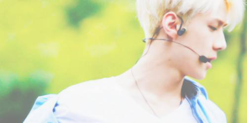 EXO Pale Headers