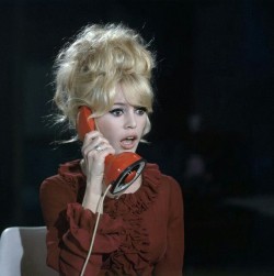 nymphetdaydream:  Brigitte Bardot 💞