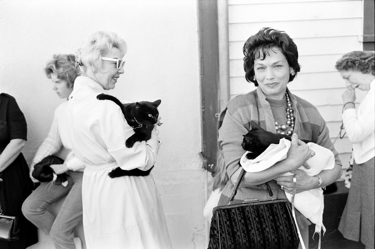 bookmania:  butw0rldenough:  Black cat auditions photographed for Life Magazine,