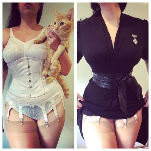 Undercrackers and Oscar the orange moggy. #thenylonswish #underwear #lingerie #corset #cat #kitten h