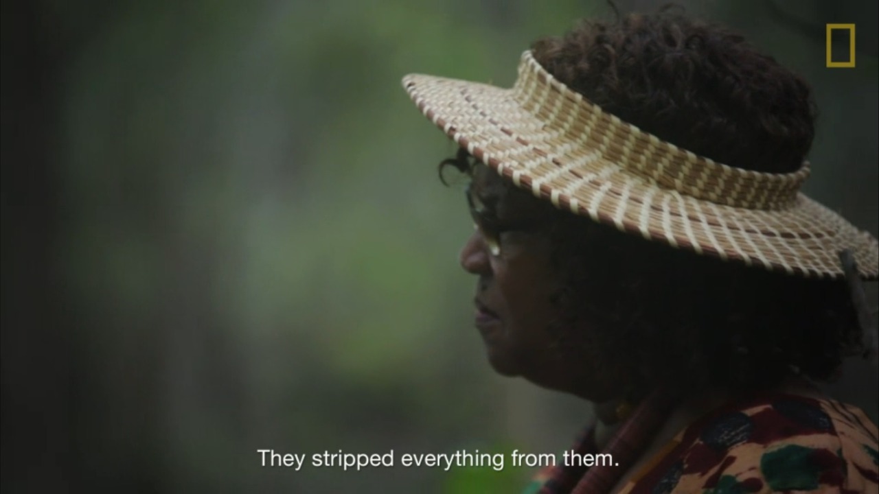 dynamicafrica:  Gullah Storyteller and Historian Theresa Jenkins Hilliard Speaks