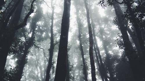 Darjeeling, India.