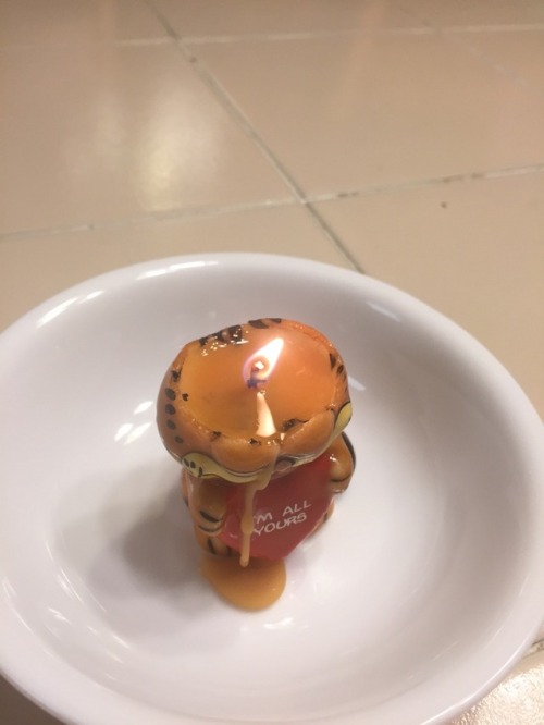 beatlesweatles:catbots:my sister found this garfield candle at a flea market so we lit him up and wa