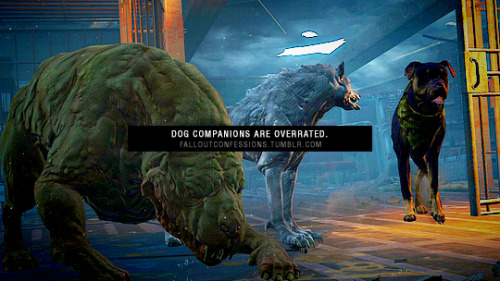 falloutconfessions:    “Dog companions are overrated.”Fallout Confessions