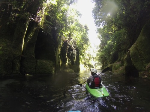 Paddled the most amazing river on the planet on Saturday! Waiari Gorge is spring fed and so clean yo