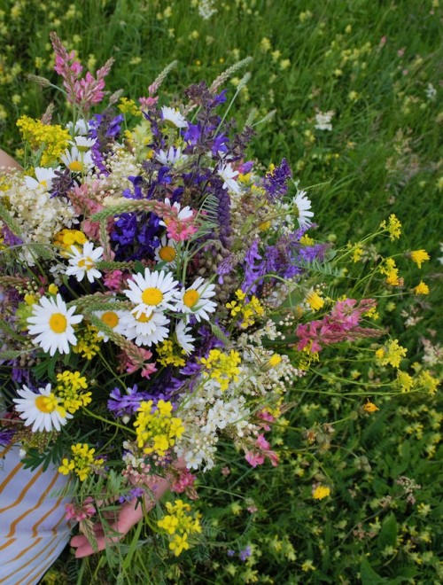 allthingssoulful-garden:First bouquet of the year. It was a race to make it before it started rainin