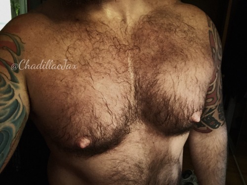 XXX chadillacjax:  Chesticles photo