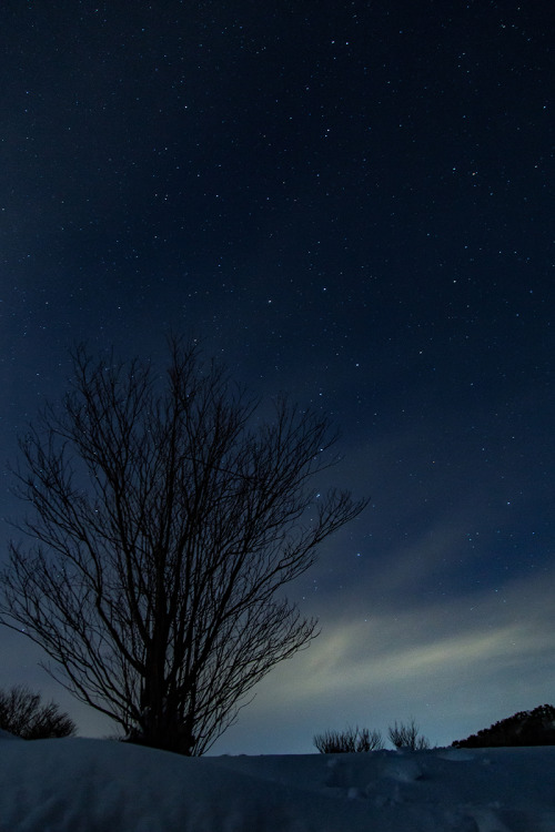 星を撮る。location：キゴ山 on January 26, 2017